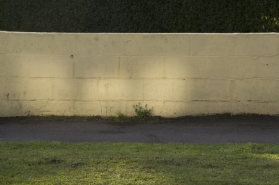 Kent Wildlife Trust - Stone