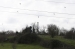 Kent Wildlife Trust - Stone