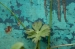 Kent Wildlife Trust - Stone