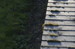 Kent Wildlife Trust - Stone