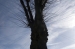 Kent Wildlife Trust - Stone